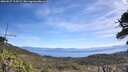 ./images/calvert/fitz-hugh-hecate/20260527/fitz-hugh-hecate20260527_115001M.jpg