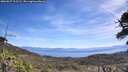 ./images/calvert/fitz-hugh-hecate/20260527/fitz-hugh-hecate20260527_115501M.jpg