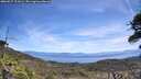 ./images/calvert/fitz-hugh-hecate/20260527/fitz-hugh-hecate20260527_122001M.jpg