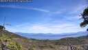./images/calvert/fitz-hugh-hecate/20260527/fitz-hugh-hecate20260527_123501M.jpg