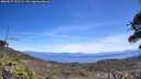 ./images/calvert/fitz-hugh-hecate/20260527/fitz-hugh-hecate20260527_125501M.jpg