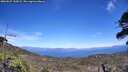 ./images/calvert/fitz-hugh-hecate/20260527/fitz-hugh-hecate20260527_145001M.jpg
