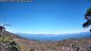 ./images/calvert/fitz-hugh-hecate/20260527/fitz-hugh-hecate20260527_163502M.jpg