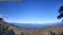 ./images/calvert/fitz-hugh-hecate/20260527/fitz-hugh-hecate20260527_191001M.jpg