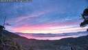 ./images/calvert/fitz-hugh-hecate/20260528/fitz-hugh-hecate20260528_051001M.jpg