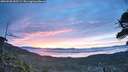 ./images/calvert/fitz-hugh-hecate/20260528/fitz-hugh-hecate20260528_052501M.jpg