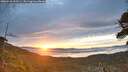 ./images/calvert/fitz-hugh-hecate/20260528/fitz-hugh-hecate20260528_053501M.jpg