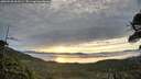 ./images/calvert/fitz-hugh-hecate/20260528/fitz-hugh-hecate20260528_061501M.jpg