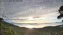 ./images/calvert/fitz-hugh-hecate/20260528/fitz-hugh-hecate20260528_065001M.jpg