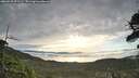 ./images/calvert/fitz-hugh-hecate/20260528/fitz-hugh-hecate20260528_071501M.jpg