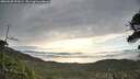 ./images/calvert/fitz-hugh-hecate/20260528/fitz-hugh-hecate20260528_072001M.jpg