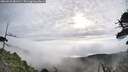 ./images/calvert/fitz-hugh-hecate/20260528/fitz-hugh-hecate20260528_081501M.jpg