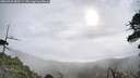 ./images/calvert/fitz-hugh-hecate/20260528/fitz-hugh-hecate20260528_083501M.jpg
