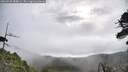 ./images/calvert/fitz-hugh-hecate/20260528/fitz-hugh-hecate20260528_084001M.jpg