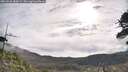 ./images/calvert/fitz-hugh-hecate/20260528/fitz-hugh-hecate20260528_085001M.jpg