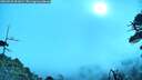 ./images/calvert/fitz-hugh-hecate/20260528/fitz-hugh-hecate20260528_091001M.jpg