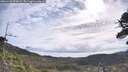 ./images/calvert/fitz-hugh-hecate/20260528/fitz-hugh-hecate20260528_093001M.jpg