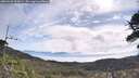 ./images/calvert/fitz-hugh-hecate/20260528/fitz-hugh-hecate20260528_095001M.jpg