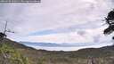 ./images/calvert/fitz-hugh-hecate/20260528/fitz-hugh-hecate20260528_100501M.jpg