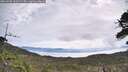 ./images/calvert/fitz-hugh-hecate/20260528/fitz-hugh-hecate20260528_101502M.jpg