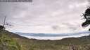 ./images/calvert/fitz-hugh-hecate/20260528/fitz-hugh-hecate20260528_103501M.jpg