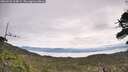 ./images/calvert/fitz-hugh-hecate/20260528/fitz-hugh-hecate20260528_104001M.jpg