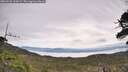 ./images/calvert/fitz-hugh-hecate/20260528/fitz-hugh-hecate20260528_104501M.jpg