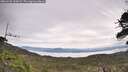 ./images/calvert/fitz-hugh-hecate/20260528/fitz-hugh-hecate20260528_105002M.jpg