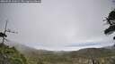 ./images/calvert/fitz-hugh-hecate/20260528/fitz-hugh-hecate20260528_111001M.jpg