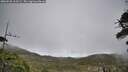 ./images/calvert/fitz-hugh-hecate/20260528/fitz-hugh-hecate20260528_112501M.jpg