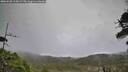 ./images/calvert/fitz-hugh-hecate/20260528/fitz-hugh-hecate20260528_113002M.jpg