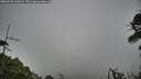./images/calvert/fitz-hugh-hecate/20260528/fitz-hugh-hecate20260528_123002M.jpg
