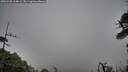 ./images/calvert/fitz-hugh-hecate/20260528/fitz-hugh-hecate20260528_164002M.jpg