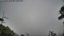 ./images/calvert/fitz-hugh-hecate/20260528/fitz-hugh-hecate20260528_165001M.jpg