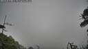 ./images/calvert/fitz-hugh-hecate/20260528/fitz-hugh-hecate20260528_174001M.jpg