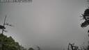 ./images/calvert/fitz-hugh-hecate/20260528/fitz-hugh-hecate20260528_180001M.jpg