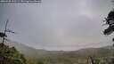 ./images/calvert/fitz-hugh-hecate/20260528/fitz-hugh-hecate20260528_202501M.jpg