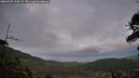 ./images/calvert/fitz-hugh-hecate/20260528/fitz-hugh-hecate20260528_215502M.jpg