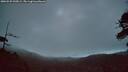 ./images/calvert/fitz-hugh-hecate/20260529/fitz-hugh-hecate20260529_045001M.jpg