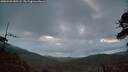 ./images/calvert/fitz-hugh-hecate/20260529/fitz-hugh-hecate20260529_045502M.jpg