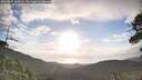 ./images/calvert/fitz-hugh-hecate/20260529/fitz-hugh-hecate20260529_065001M.jpg
