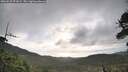 ./images/calvert/fitz-hugh-hecate/20260529/fitz-hugh-hecate20260529_071001M.jpg
