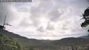 ./images/calvert/fitz-hugh-hecate/20260529/fitz-hugh-hecate20260529_072001M.jpg