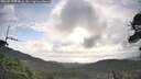 ./images/calvert/fitz-hugh-hecate/20260529/fitz-hugh-hecate20260529_073001M.jpg