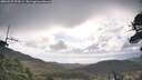 ./images/calvert/fitz-hugh-hecate/20260529/fitz-hugh-hecate20260529_074501M.jpg