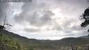 ./images/calvert/fitz-hugh-hecate/20260529/fitz-hugh-hecate20260529_082001M.jpg