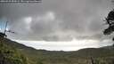 ./images/calvert/fitz-hugh-hecate/20260529/fitz-hugh-hecate20260529_083002M.jpg