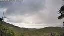 ./images/calvert/fitz-hugh-hecate/20260529/fitz-hugh-hecate20260529_090001M.jpg