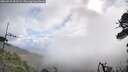./images/calvert/fitz-hugh-hecate/20260529/fitz-hugh-hecate20260529_092501M.jpg