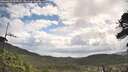 ./images/calvert/fitz-hugh-hecate/20260529/fitz-hugh-hecate20260529_095001M.jpg